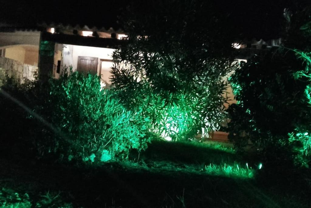 Villetta Reparata Santa Teresa Gallura Zewnętrze zdjęcie