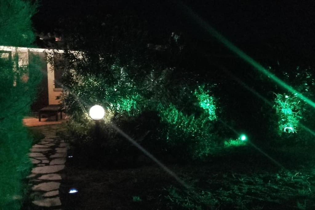Villetta Reparata Santa Teresa Gallura Zewnętrze zdjęcie